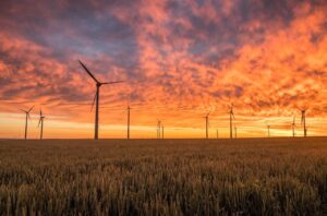 Beroemdheden Zonnepanelen laten plaatsen in Friesland voor duurzame energie-opwekking en lagere energierekeningen